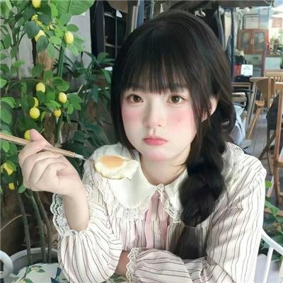 三只流浪狗